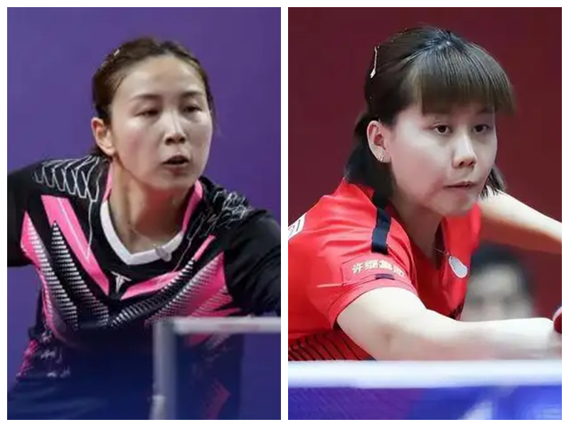 灰熊以其强 灰熊以其强